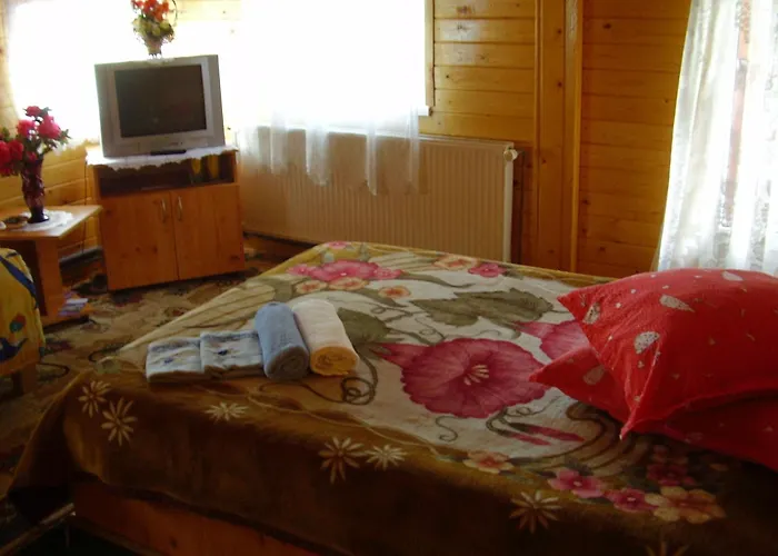 Pension Bran Ioana& Spa
